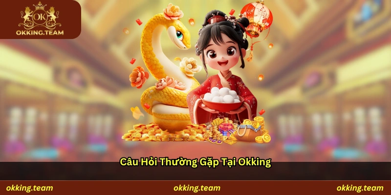 Câu hỏi thường gặp tại Okking