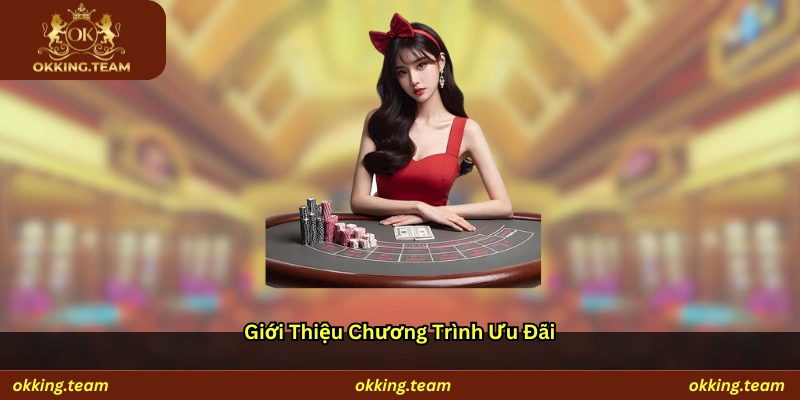 Giới thiệu chương trình ưu đãi