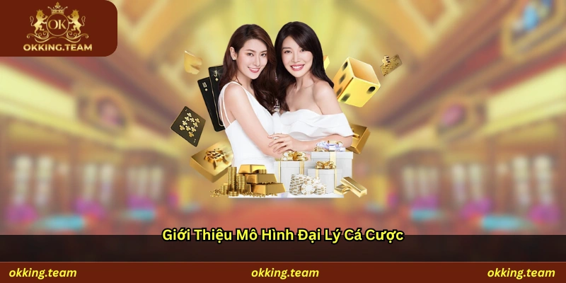 Giới thiệu mô hình đại lý cá cược