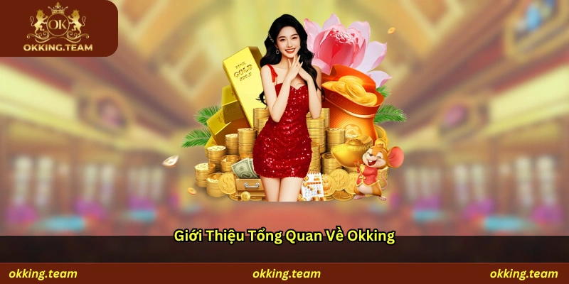 Giới thiệu tổng quan về Okking