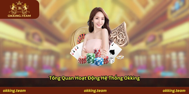 Tổng quan hoạt động hệ thống Okking