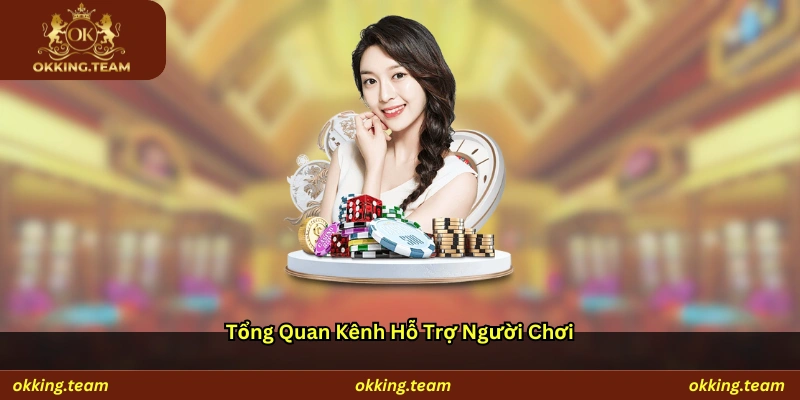 Tổng quan kênh hỗ trợ người chơi