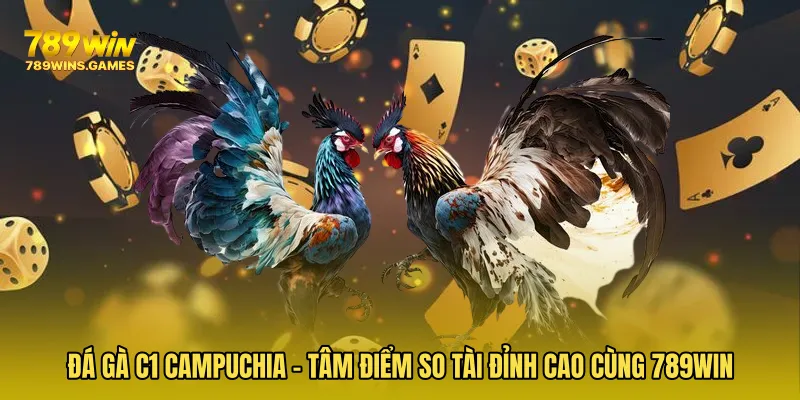 Đá Gà C1 Campuchia - Tâm Điểm So Tài Đỉnh Cao Cùng 789WIN
