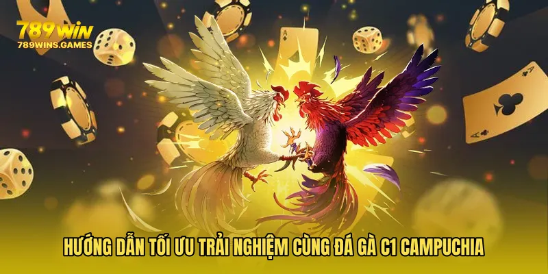Hướng dẫn tối ưu trải nghiệm cùng Đá Gà C1 Campuchia
