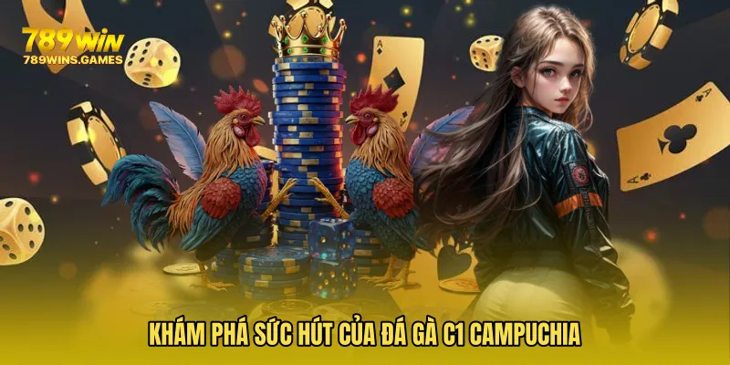 Khám phá sức hút của Đá Gà C1 Campuchia
