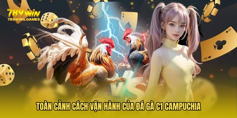 Toàn cảnh cách vận hành của Đá Gà C1 Campuchia